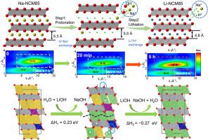 Revealing proton-coupled exchange mechanism in aqueous ion-exchange synthesis of nickel-rich layered cathodes for lithium-ion batteries