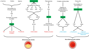 Targeting the Gut Microbiome to Treat Cardiometabolic Disease.