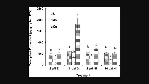 A comparison of nickel and zinc uptake and translocation in three species of Brassicaceae: The Ni hyperaccumulator Odontarrhena corsica and two non-hyperaccumulators, Aurinia saxatilis and Lobularia maritima