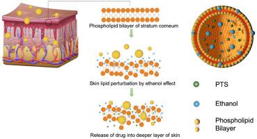 Investigation of the whitening activity of ginsenosides from Panax notoginseng and optimization of the dosage form