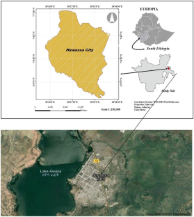 Public Perception on the Role of Urban Green Infrastructure Development and Land Use Management in Rapidly Urbanized Countries: The Case of Hawassa City, Ethiopia