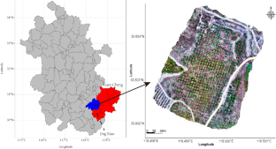 Estimating canopy chlorophyll in slash pine using multitemporal vegetation indices from uncrewed aerial vehicles (UAVs)