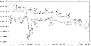 Study of Seiche Oscillation Regimes in Sevastopol Bay