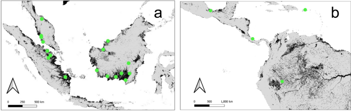 Degradation increases peat greenhouse gas emissions in undrained tropical peat swamp forests