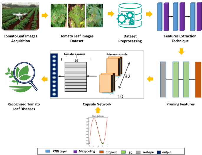 An optimized capsule neural networks for tomato leaf disease classification