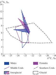 Diet of the Small Cave Bear Ursus (Spelaearctos) rossicus Borissak, 1930 (Mammalia, Carnivora, Ursidae) As Revealed by <sup>13</sup>C and <sup>15</sup>N Isotope Analyses in Bone Collagen.