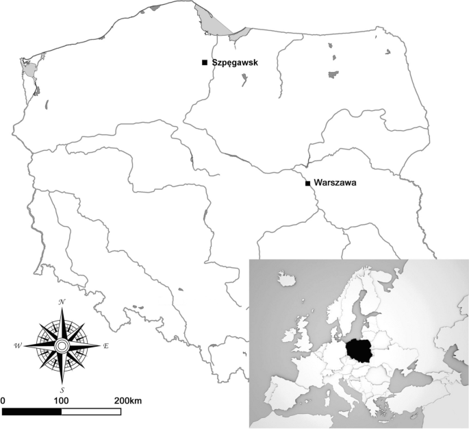 An Archaeology of the Pomeranian Crime of 1939: The Case of Mass Crimes in the Szpęgawski Forest (Poland)