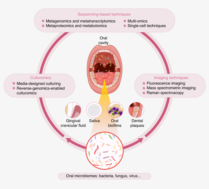 Omics for deciphering oral microecology