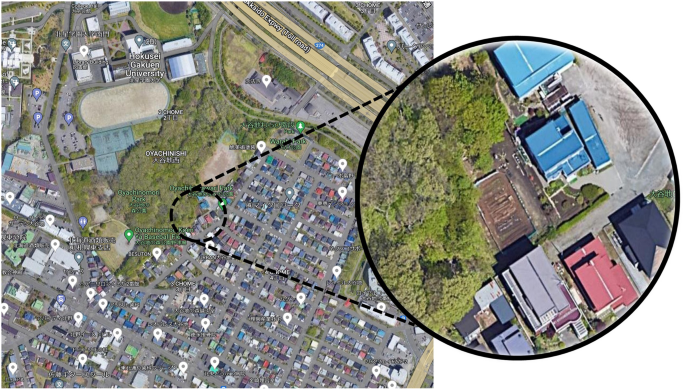 Willingness to pay for pesticide-free vegetables in Hokkaido, Japan: the relationship between appearance and pesticide use