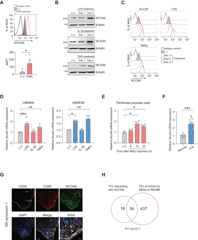 Nuclear receptor coactivator 6 is a critical regulator of NLRP3 inflammasome activation and gouty arthritis