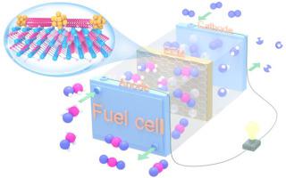 Carbon nanotube-bridged MXene nanoarchitectures decorated with ultrasmall Rh nanoparticles for efficient methanol oxidation