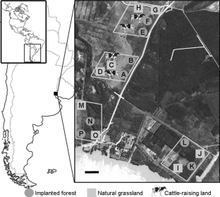 Cattle Farming and Plantation Forest are Associated with Bartonella Occurrence in Wild Rodents.