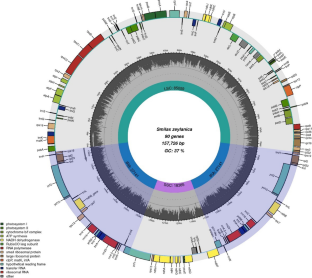 Plastome comparison reveals hotspots of nucleotide diversity and positive selection pressure on accD, matK, psaA and rbcL genes in Smilacaceae