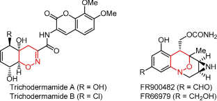 Study on Diels–Alder reaction of nitrosoalkenes