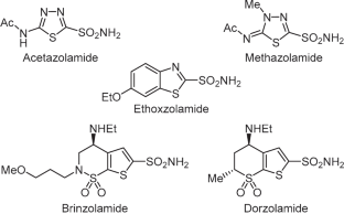 The synthesis and study of carbonic anhydrase activity of sulfonamide-containing dibenzo[1,4]thiazepines