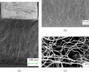 Collective compression of VACNT arrays modelled as nominally vertical, mutually interacting beams