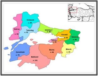 Microplastics in raw milk samples from the Marmara region in Turkey