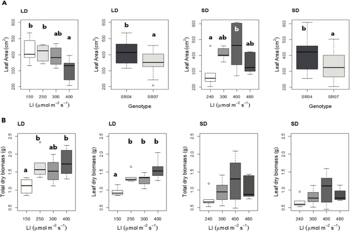 Shoot Growth Parameters of Potato Seedlings are Determined by Light and Temperature Conditions