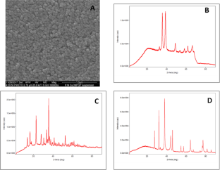 Chitosan-capped CuO nanoparticles: a comprehensive, comparative study of their broad-spectrum antibacterial efficacy