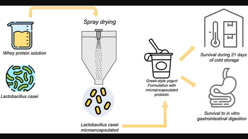 The effect of incorporating microencapsulated Lactobacillus casei ATCC 334 on the physicochemical and rheological properties of fortified Greek-style yoghurt