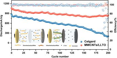 Enhancing Lithium-Sulfur Battery Performance through Electronic/Ionic Co-Conductive MWCNTs/LLTO Separator Modification