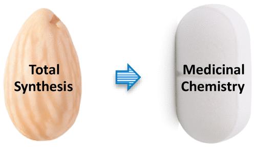 Total Synthesis as Training for Medicinal Chemistry