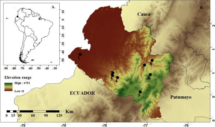 Description of the echolocation pulses of insectivorous bats with new records for Southwest Colombia