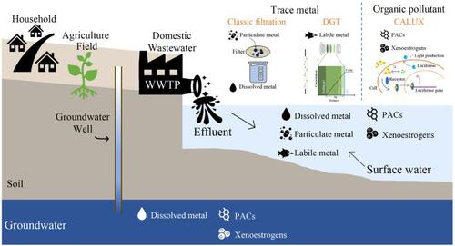 Impact of inorganic and organic pollutants from a Belgian wastewater treatment plant on adjacent surface and groundwaters