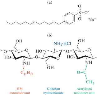 Complexes of an Anionic Surfactant with Chitosan and Its Hydrophobic Derivatives As Disinfectants against SARS-CoV-2