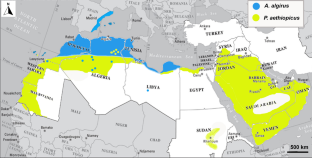 The discovery of Moniliformis saudi (Acanthocephala: Moniliformidae) in the Algerian hedgehog Atelerix algirus in Malta: morphological, molecular, and metal analyses.