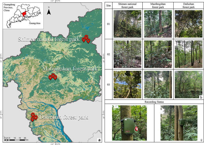 Can urban forests provide acoustic refuges for birds? Investigating the influence of vegetation structure and anthropogenic noise on bird sound diversity