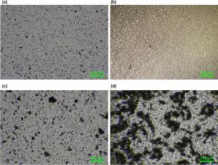 Proof-of-principle study using Saccharomyces cerevisiae for universal screening test for cancer through ultrasound-based size distinction of circulating tumor cell clusters