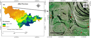 Responses of plant productivity and diversity to drought in Carex schmidtii tussock wetlands, Northeast China