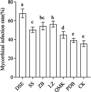 Effects of inoculating different mycorrhizal fungi on rhizosphere soil fungi and nutrient uptake of blueberry