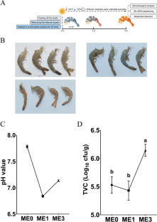 Metagenomic and metabolomic profiling of dried shrimp (Litopenaeus vannamei) prepared by a procedure traditional to the south China coastal area.