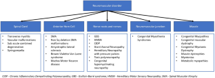 Rare paediatric disorders in Indian healthcare settings with focus on neuromuscular disorders: Diagnostic and management challenges