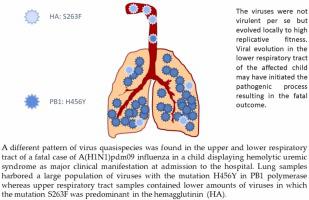 Different populations of A(H1N1)pdm09 viruses in a patient with hemolytic-uremic syndrome