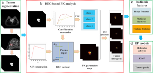 Deconvolution-Based Pharmacokinetic Analysis to Improve the Prediction of Pathological Information of Breast Cancer