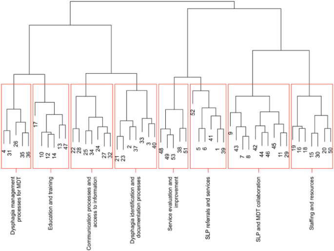 Dysphagia Management in the Emergency Department: Using Concept Mapping to Identify Actionable Change to Improve Services.