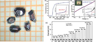 Refined Synthesis and Single Crystal Growth of PbGa2Se4 by Chemical Vapor Transport Method for Photodetection