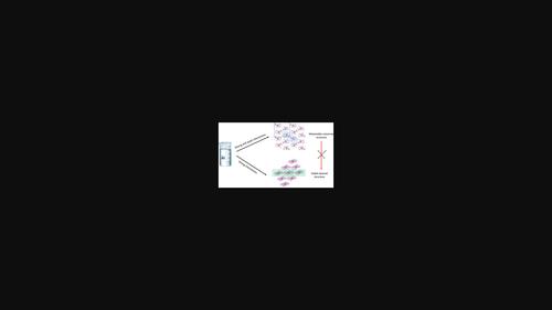 Concomitant polymorphs of 2-imino-2H-chromene-3-carboxylic acid amide: experimental and quantum chemical study.