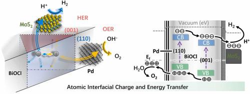 Atomic interfacial charge and energy transfer paths at MoS2/Pd bonded defect-rich BiOCl interfaces for efficient photocatalysis