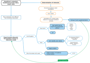 Assessment of the Benefits of Supplementation of Wort from Sugarcane with Inorganic Nutrients in the Bioethanol Production Process