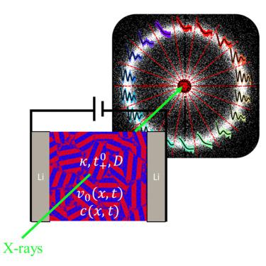 Probing transference and field-induced polymer velocity in block copolymer electrolytes