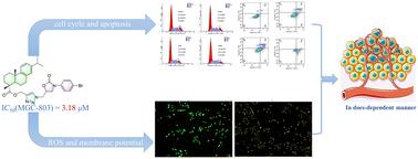 Design, synthesis, and antiproliferative evaluation of novel dehydroabietic acid-1,2,3-triazole-oxazolidinone hybrids†