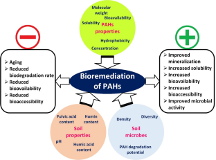 Impact of humic substances on the bioremediation of polycyclic aromatic hydrocarbons in contaminated soils and sediments: A review