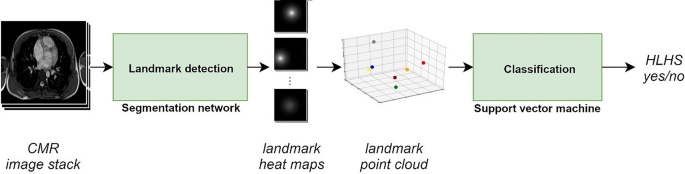 Detection of hypoplastic left heart syndrome anatomy from cardiovascular magnetic resonance images using machine learning.