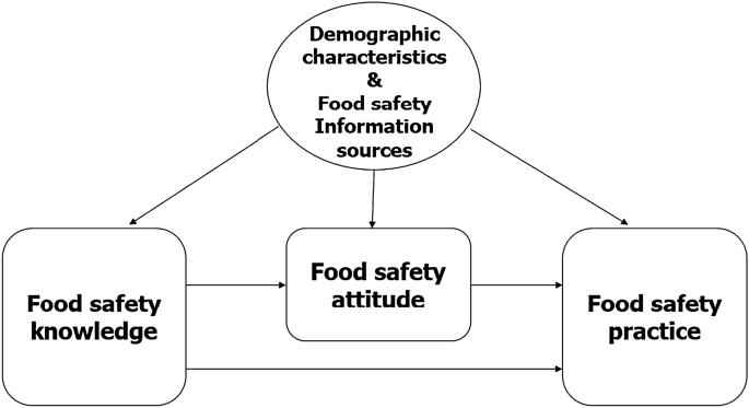 Food safety knowledge, attitudes, and practices of food vendors participating in Nigeria’s school feeding program