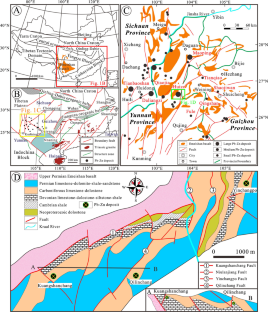 Mechanism of germanium enrichment in the world-class Huize MVT Pb–Zn deposit, southwestern China