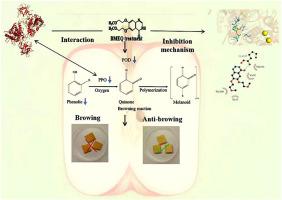 6,7-Bis-(2-methoxyethoxy)-4(3H)-quinazolinone as a novel inhibitor of tyrosinase and potential anti-browning agent of fresh-cut apples